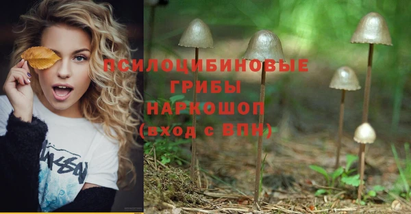 стаф Абдулино