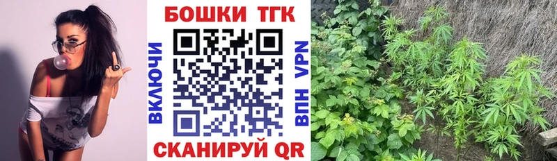 Бошки Шишки план  Златоуст 